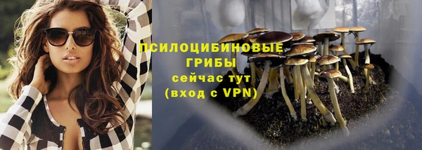 spice Баксан